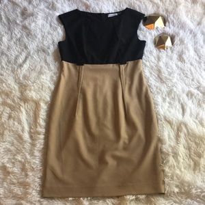 •NWOT• Calvin Klein Camel & Black Sheath Dress S10